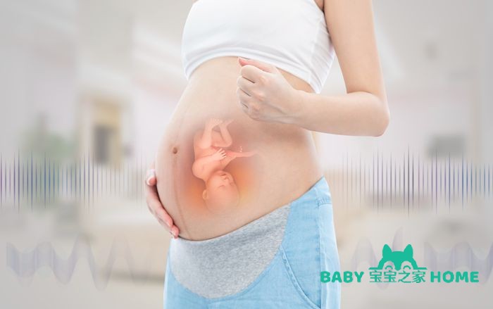 胚胎停止发育的原因