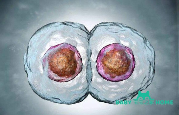 囊胚移植时间