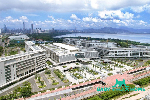 香港大学深圳医院试管婴儿费用