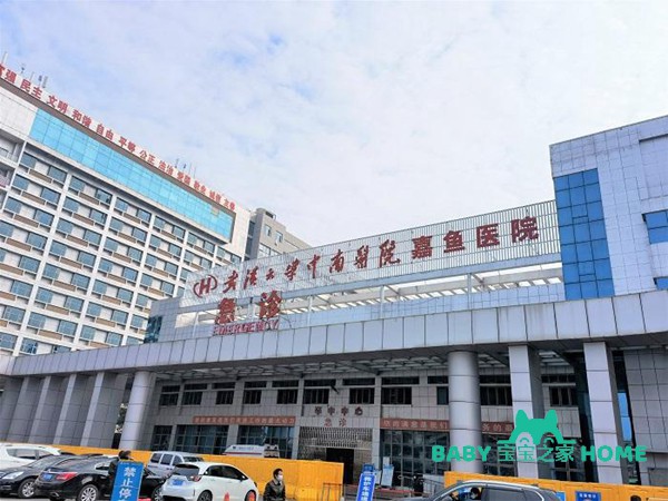 武汉中南医院试管婴儿成功率