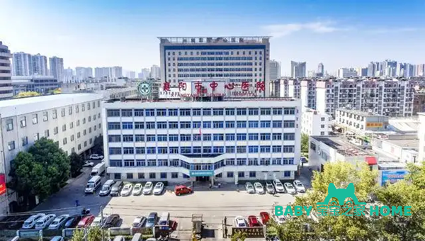 襄阳市中心医院做试管婴儿生双胞胎成功率高不高