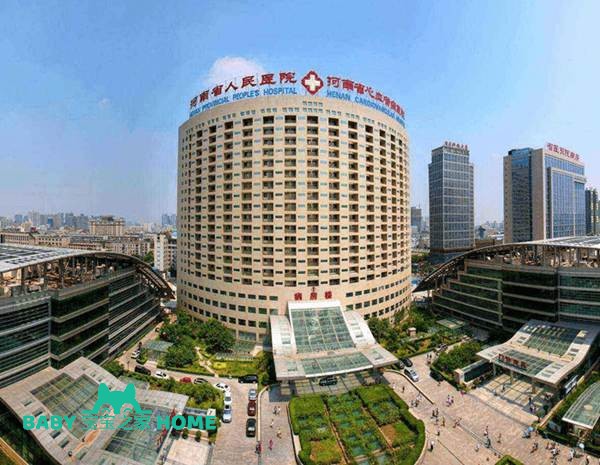 2022河南省人民医院试管婴儿成功率一览