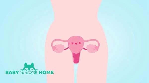 女性卵巢保护
