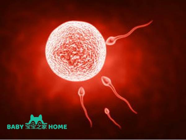 试管婴儿促排后雌二醇值为1000这是有几个卵泡发育成熟