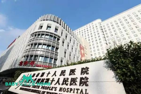 2022上海市第十人民医院试管婴儿成功率一览